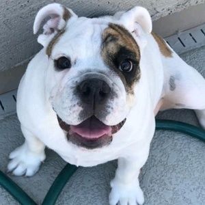 Meet your Posher, Monica